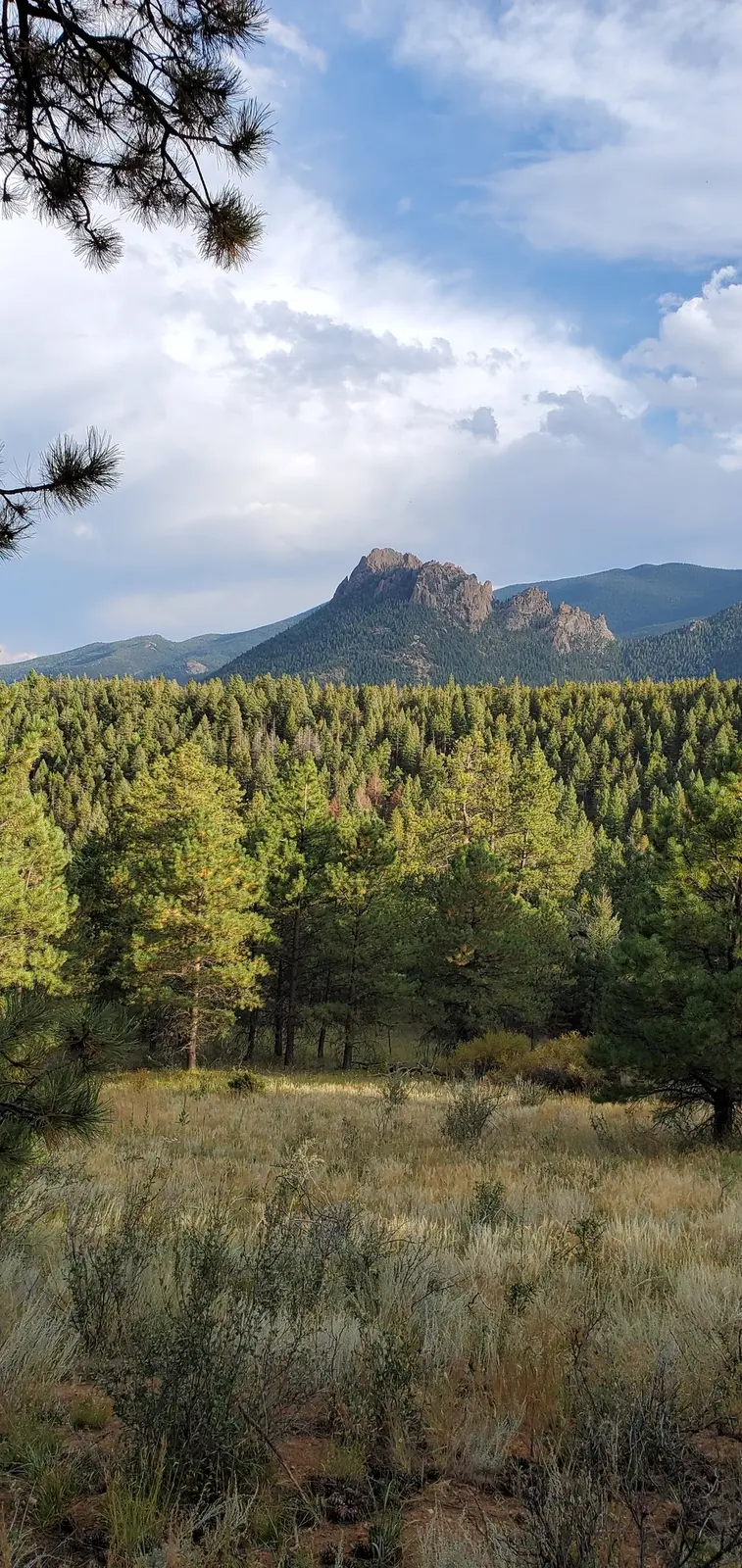 A mountain vista in Pikes Peak country.