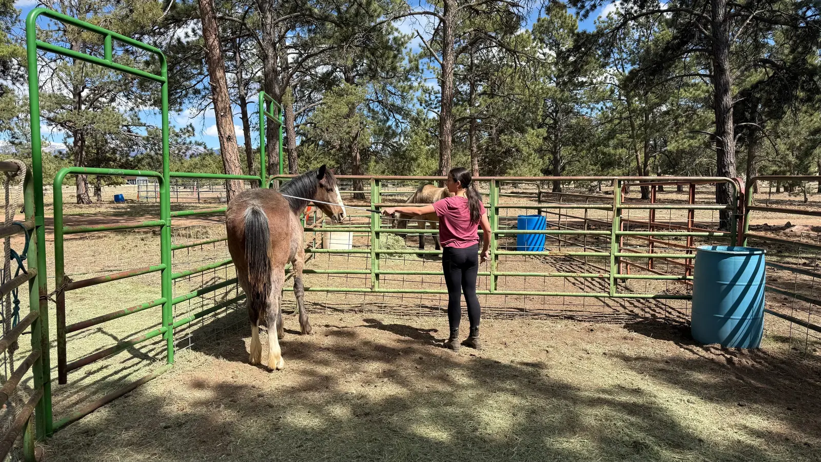 Leading a horse through the ranch gates.