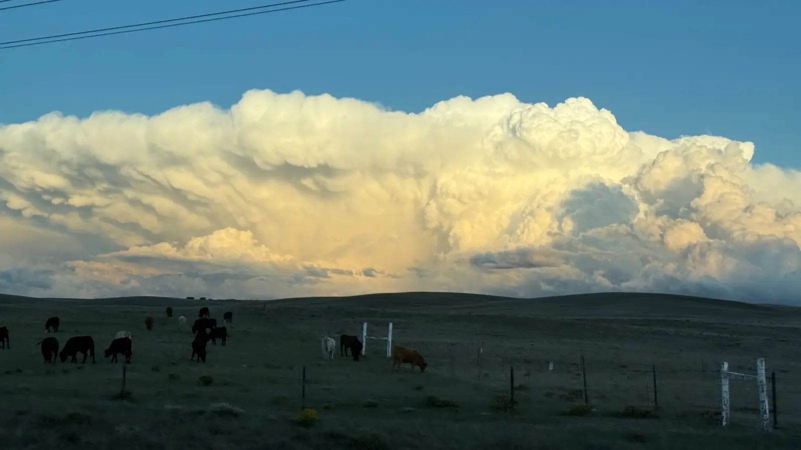 Big Colorado clouds over open ranch land.